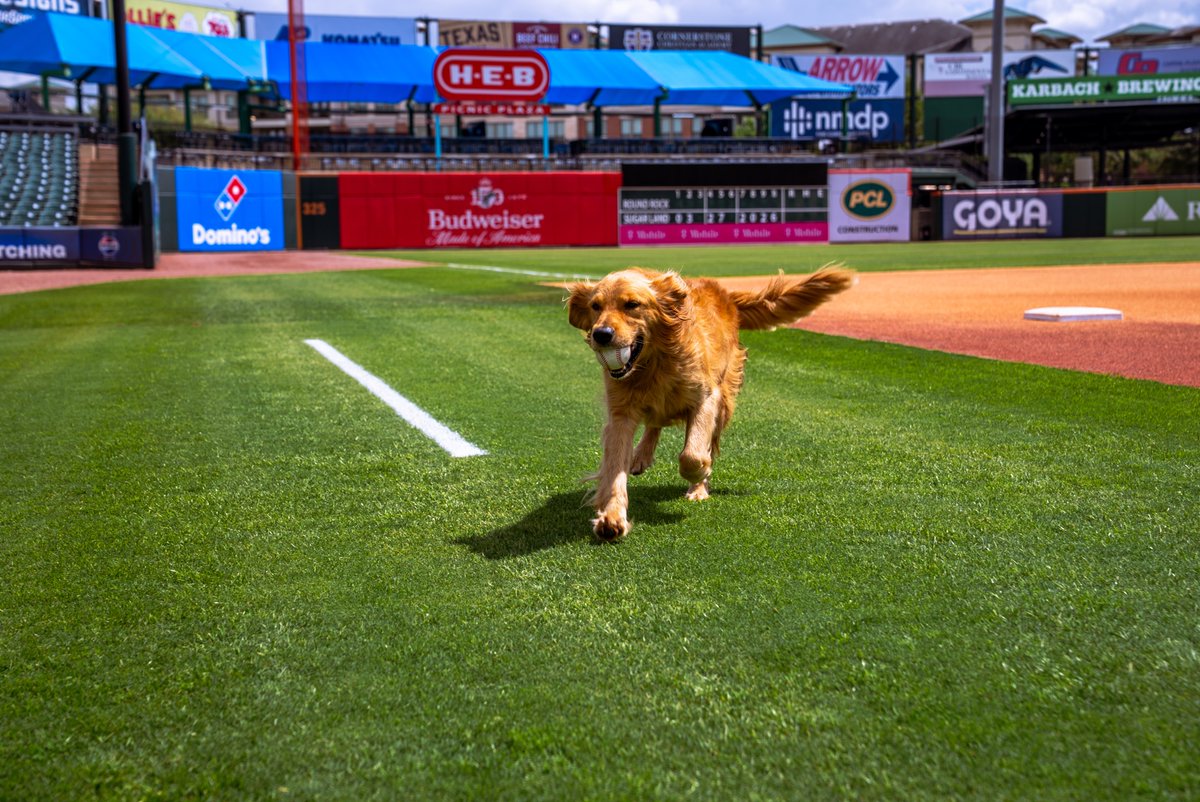 Sugar Land Space Cowboys tweet media