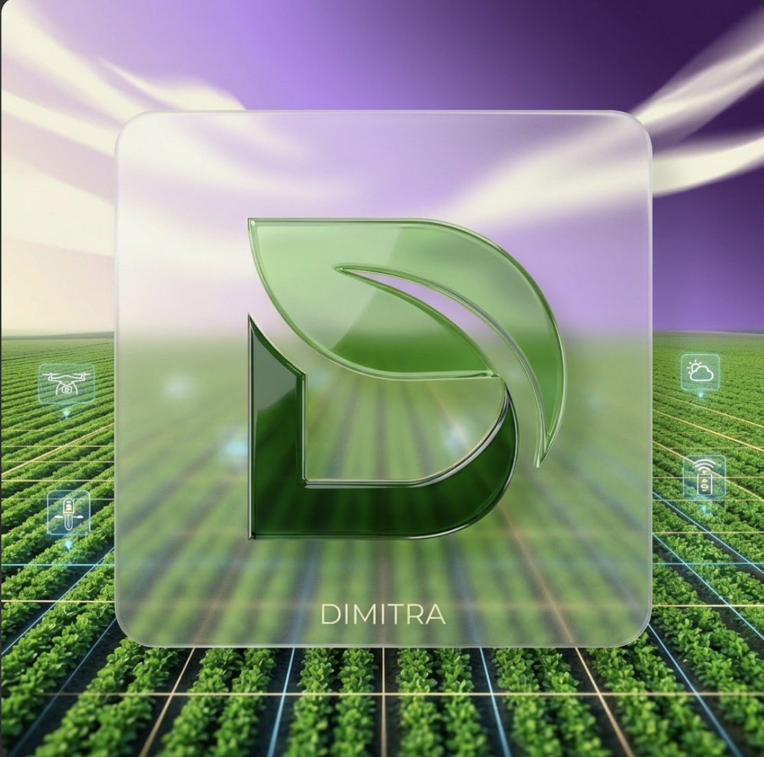 Web3 Princess 👑 tweet media