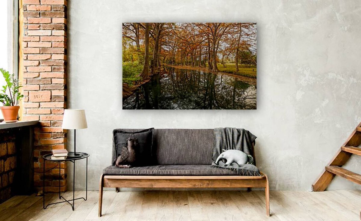 JudyVincent74's tweet image. #BlueHoleRegionalPark 2 Metal Print Also available as canvas, wood, acrylic, framed prints and on many products #autumn #Wimberley #Texas #WallArt #HomeDecor #BuyIntoArt #giftideas 
See all products here ---&amp;gt; buff.ly/fi35EOl