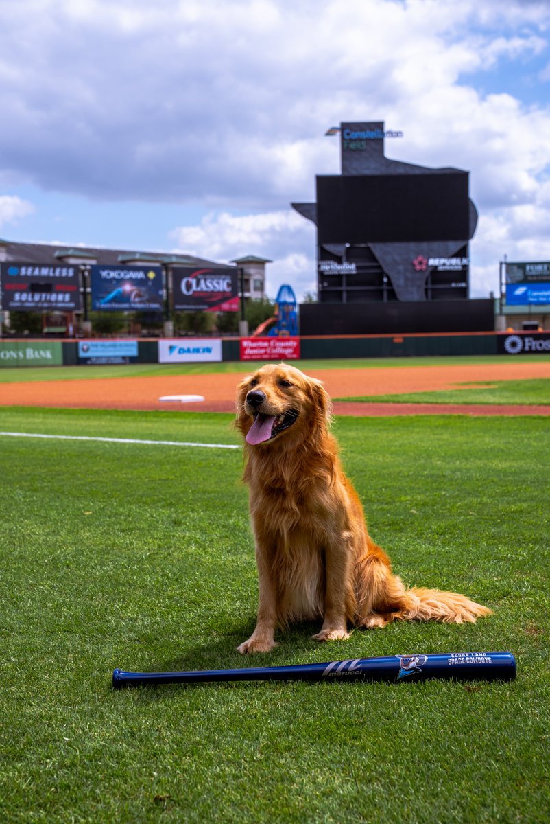 Sugar Land Space Cowboys tweet media