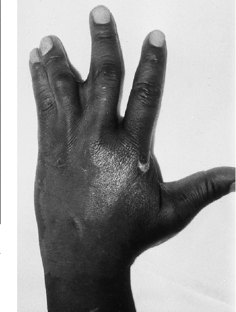 The_Bearded_Dr_Sina tweet media