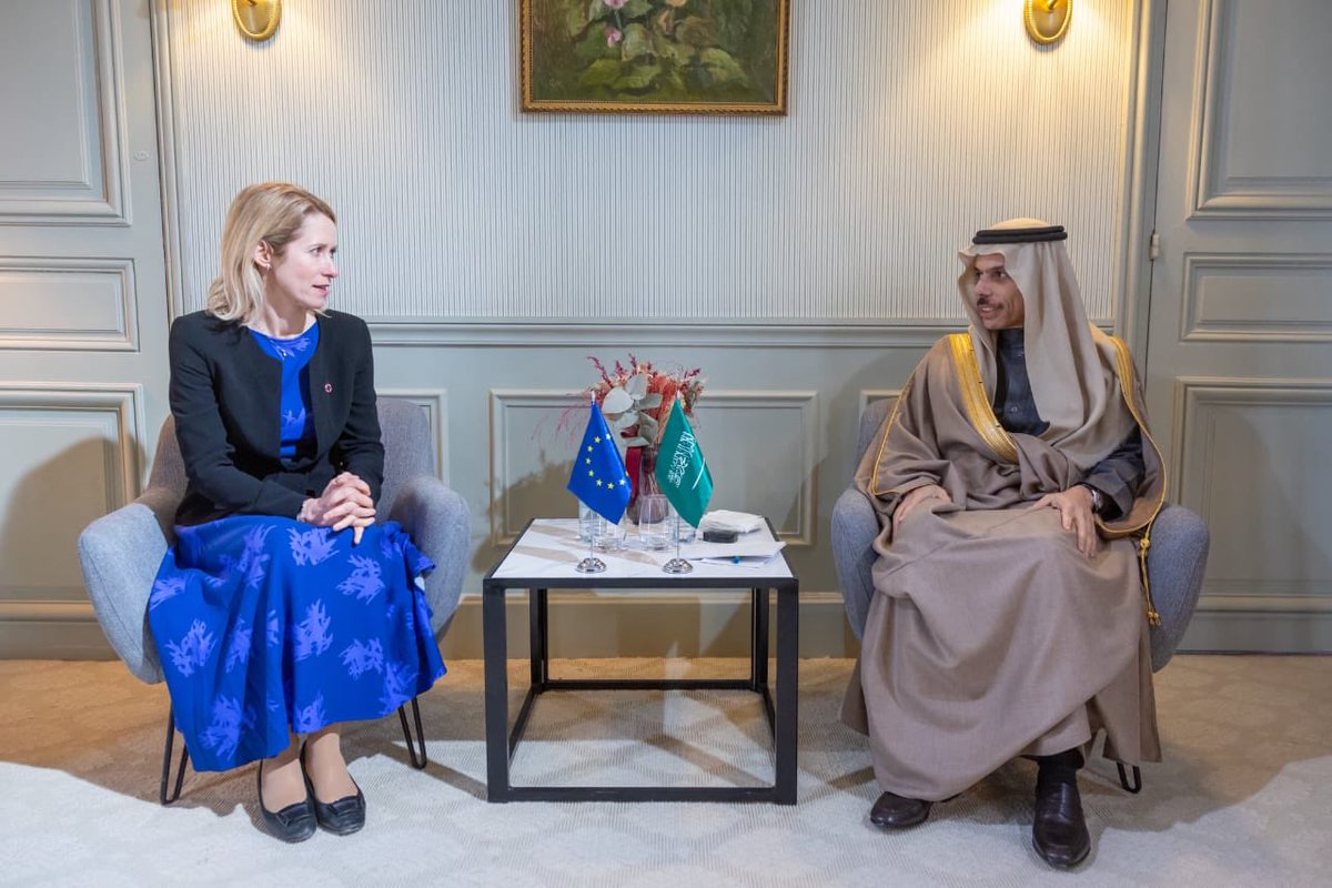 وزير الخارجية يلتقي الممثلة العليا للاتحاد الأوروبي لمناقشة المستجدات الإقليمية والدولية