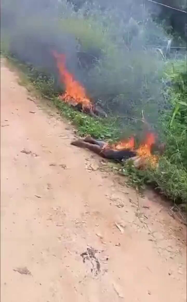 Daniel Somtochukwu tweet media