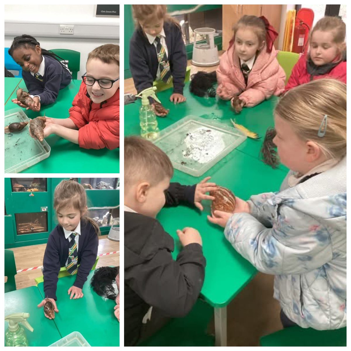 HolyTrinity3-16 tweet media