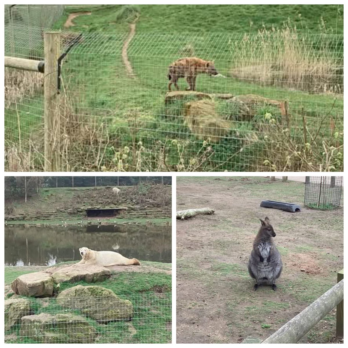 HolyTrinity3-16 tweet media