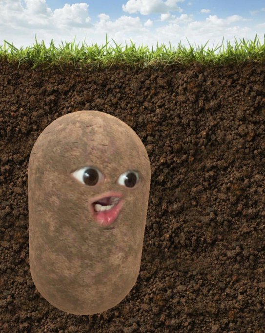 Cyber_Maleのツイート