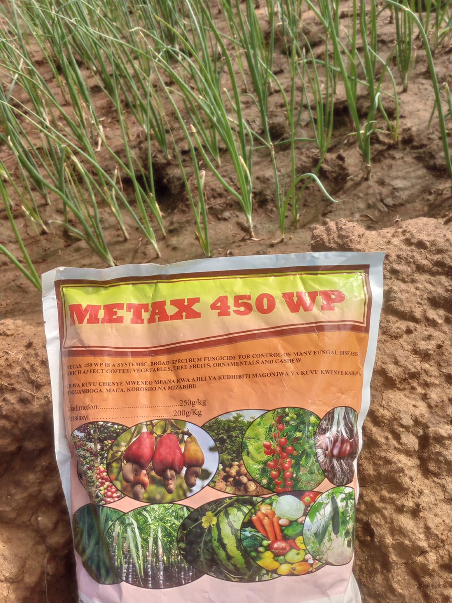 Saumu Farms🧄 tweet media