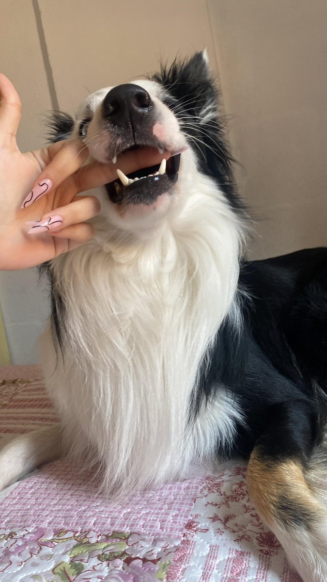 gin de 10 tweet media