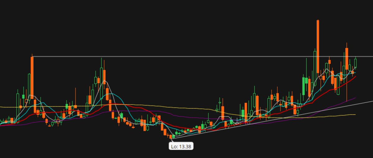 Alternate Trader tweet media