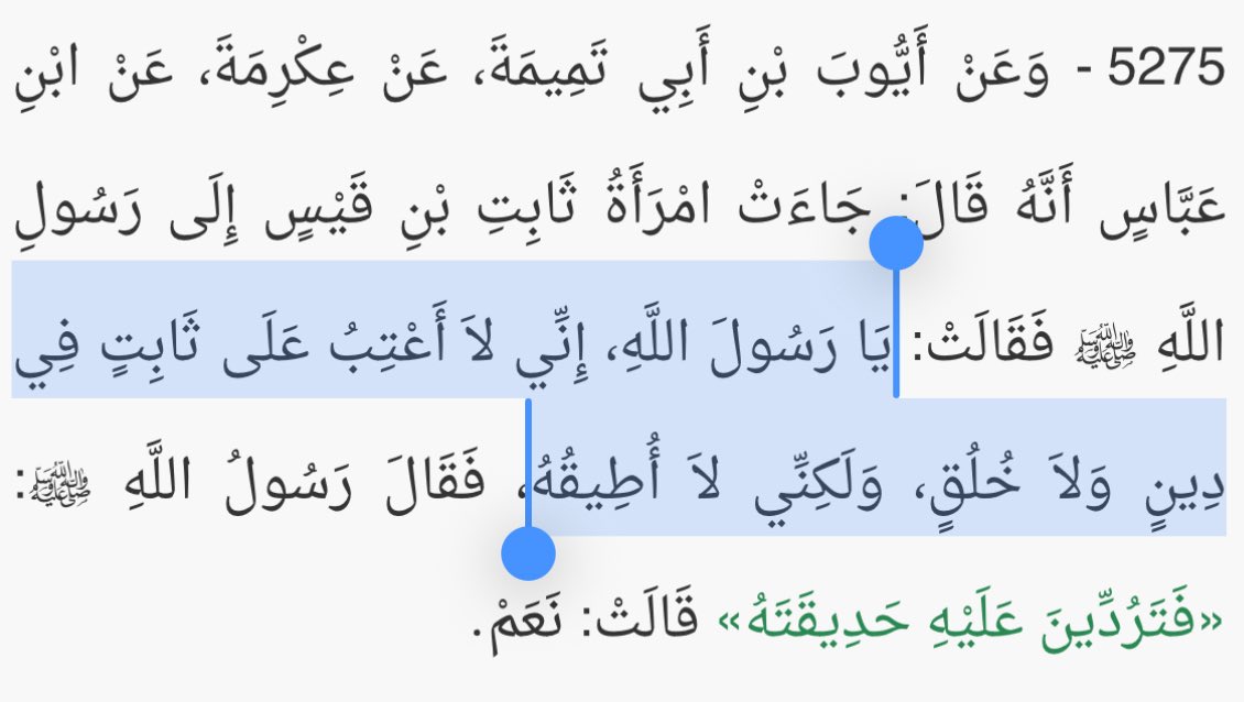 باسل tweet media