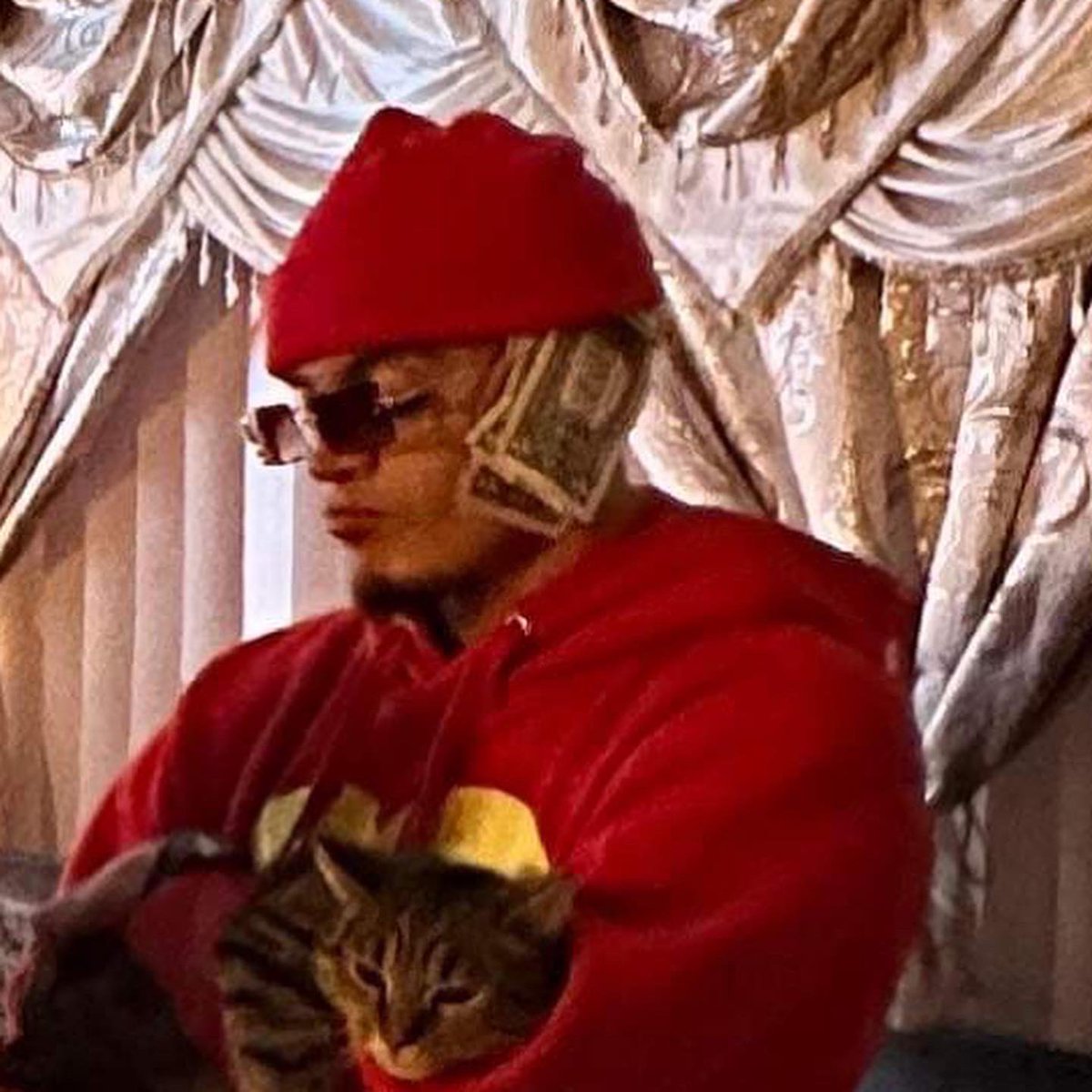 Pancho P tweet media