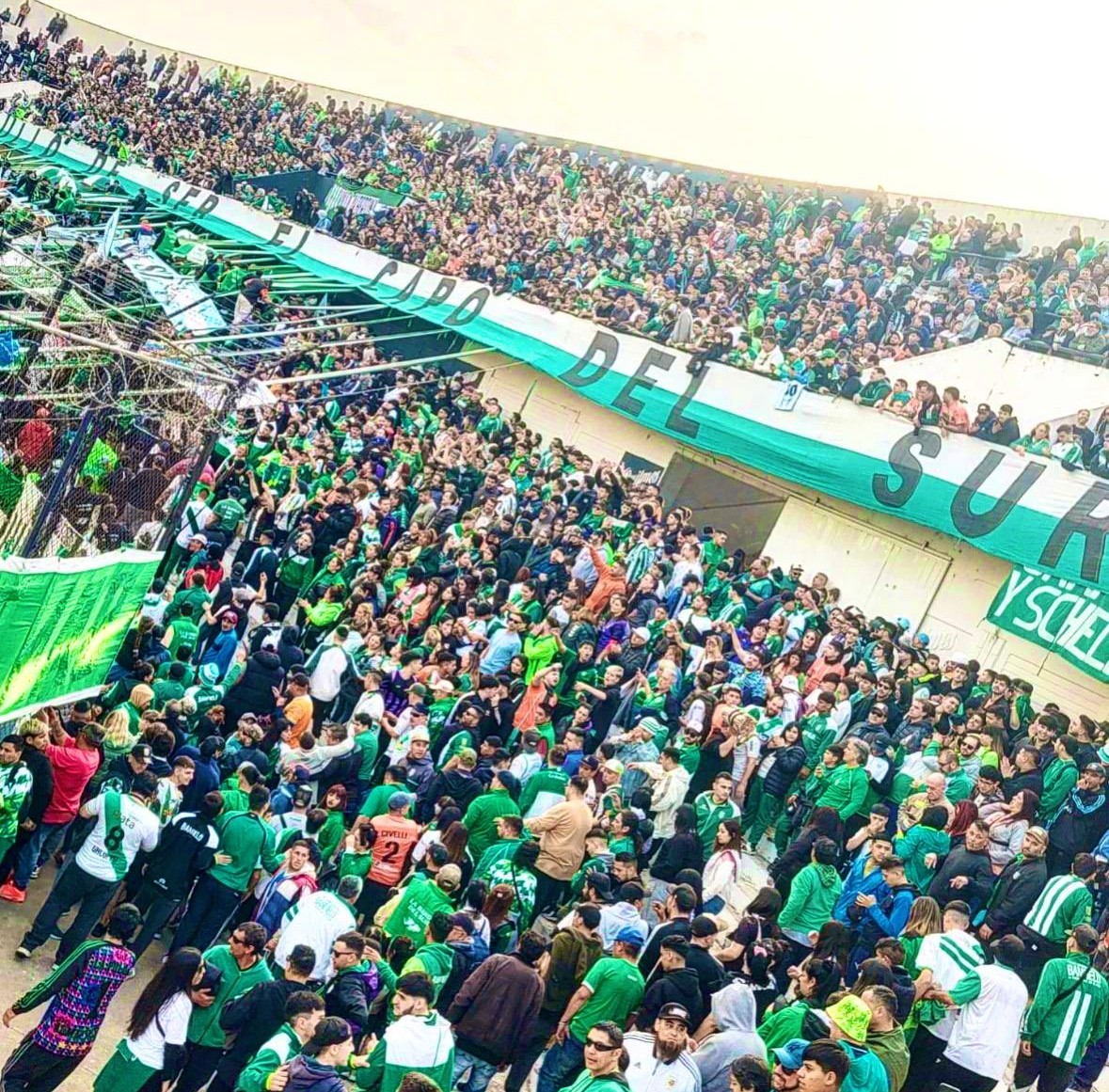 Puro Banfield tweet media