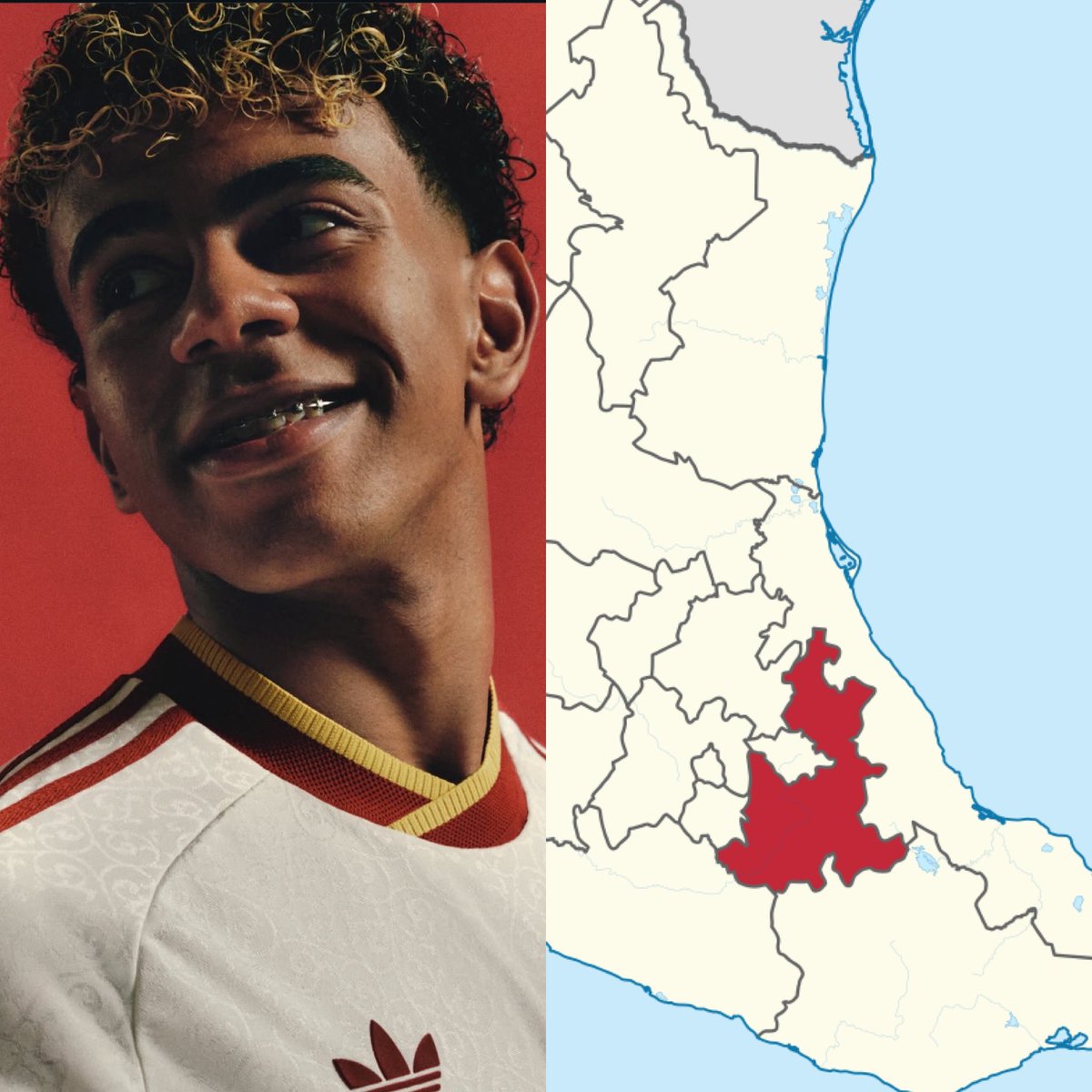 Cerebros tweet media