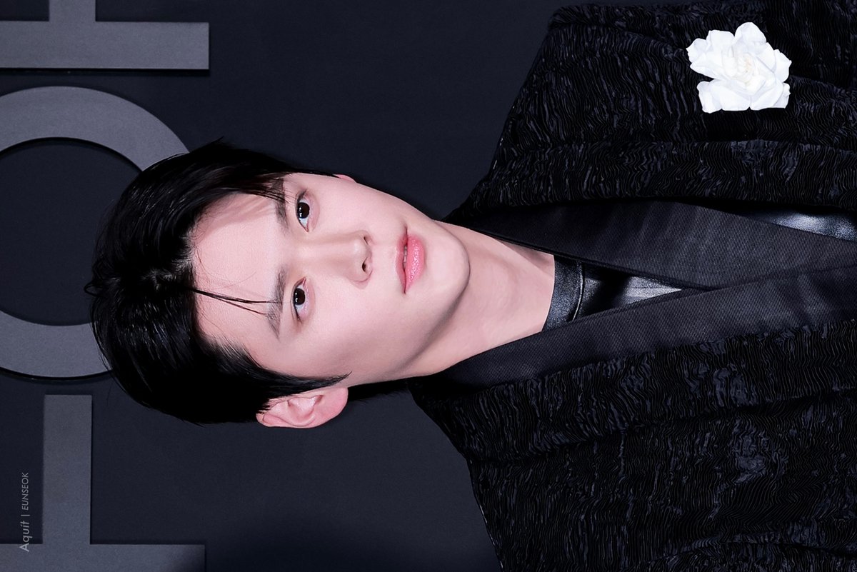 𝖠𝗊𝗎𝗂𝗍 tweet media