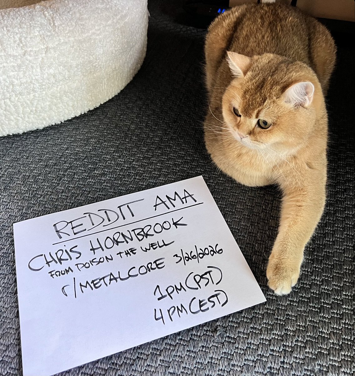 POISON THE WELL tweet media