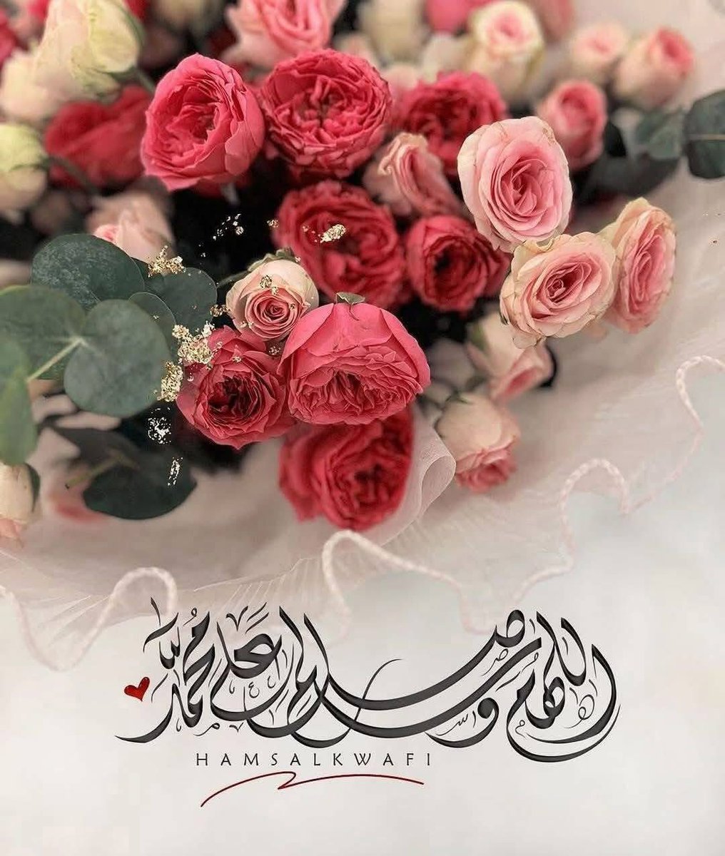 Dalia elshamy tweet media