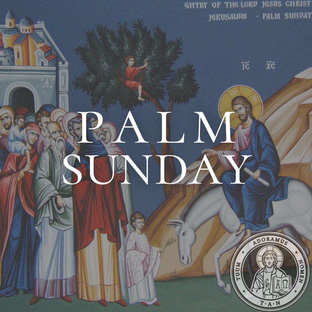 TAN Books tweet media