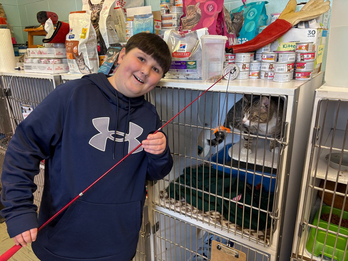 Bloomfield CSD tweet media