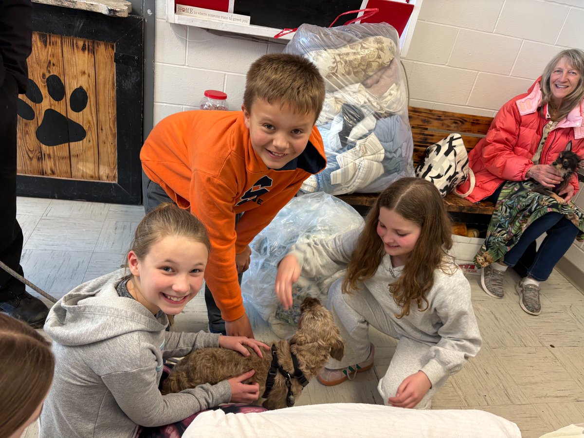 Bloomfield CSD tweet media