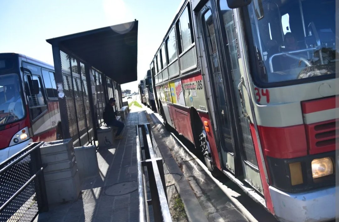 Martín Elgue #58194 tweet media