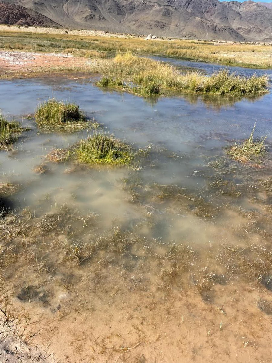Asamblea No a la Mina - Esquel ✊🏼💧 tweet media