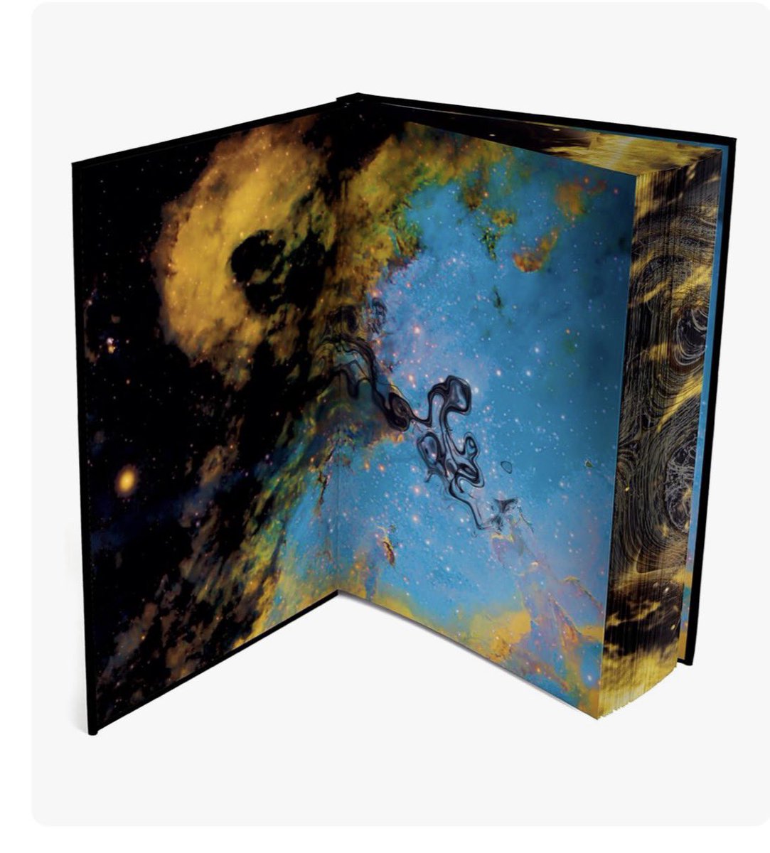 ScrappyFish🪼🦴 【WOOF】 tweet media