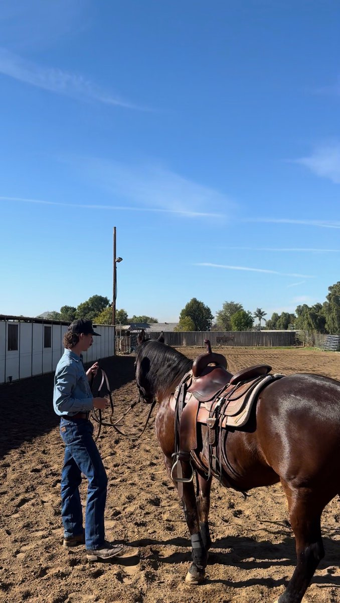 Shawn Gorham tweet media