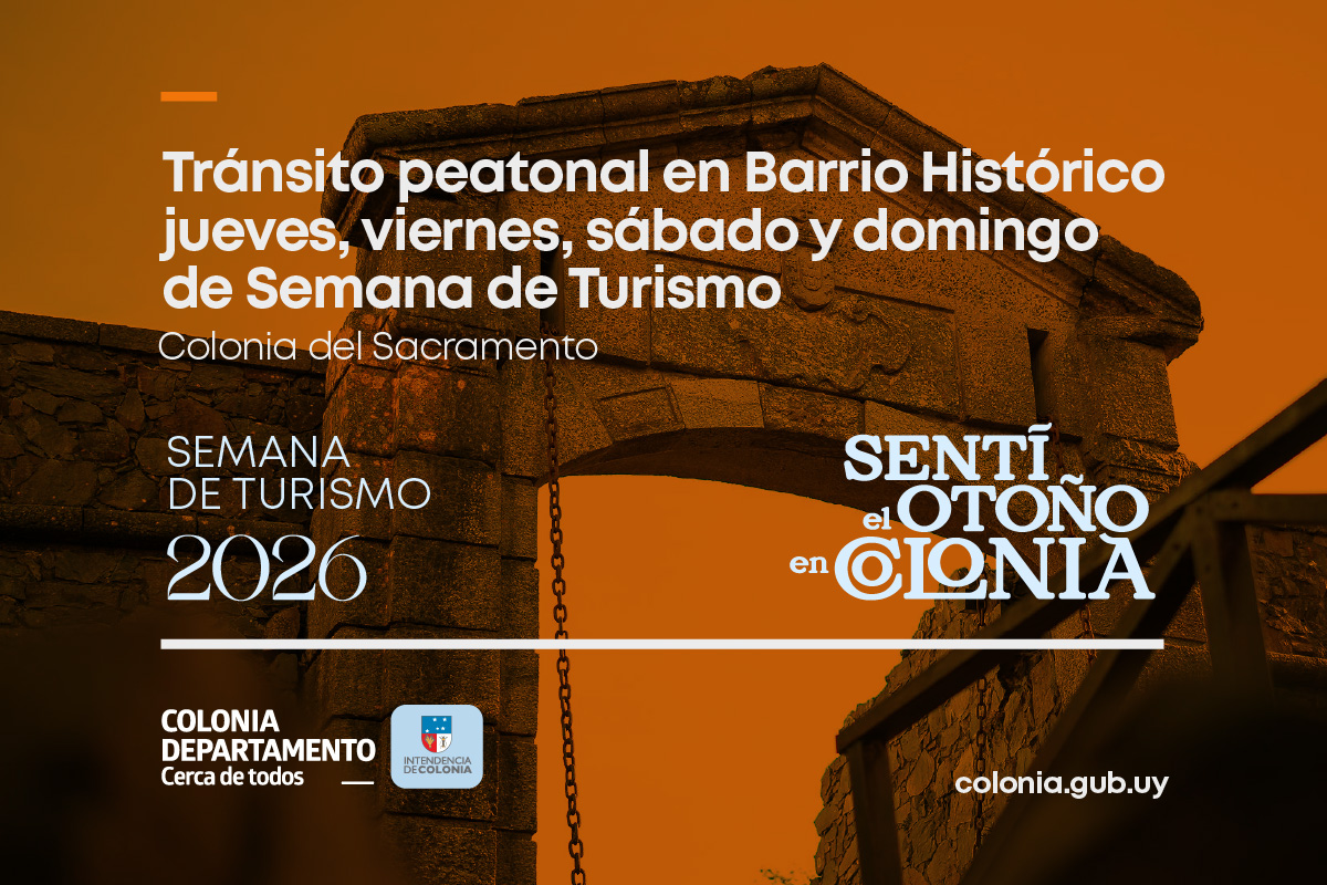 IntendenciaColonia tweet media