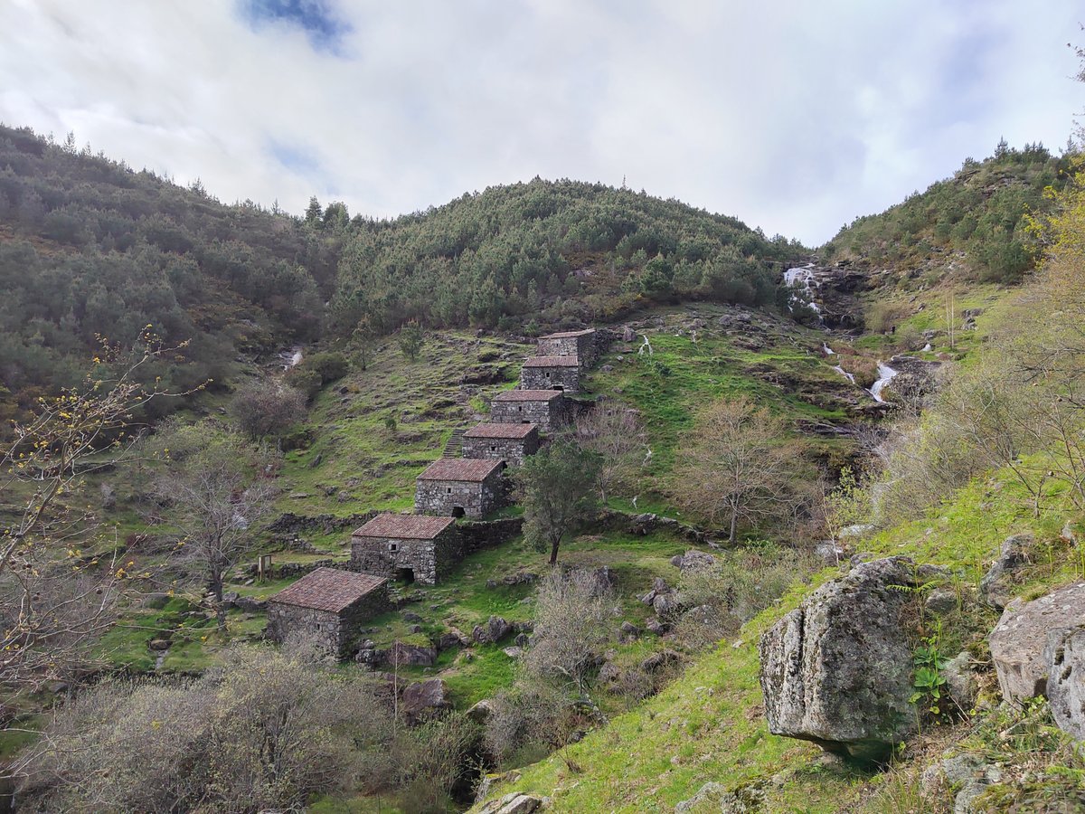 Concello do Rosal tweet media