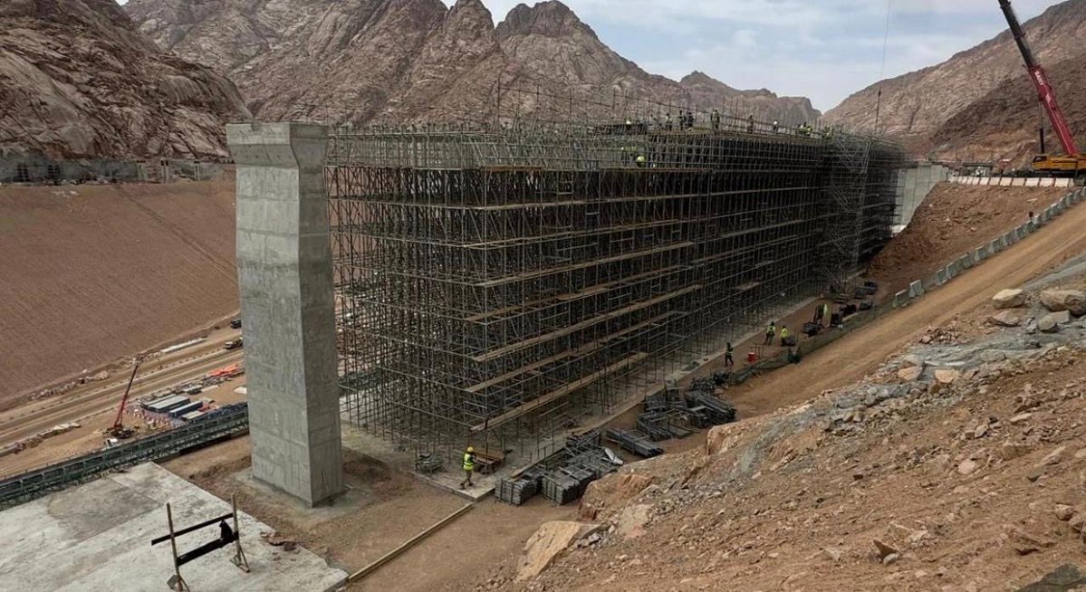 ‏First Line tweet media