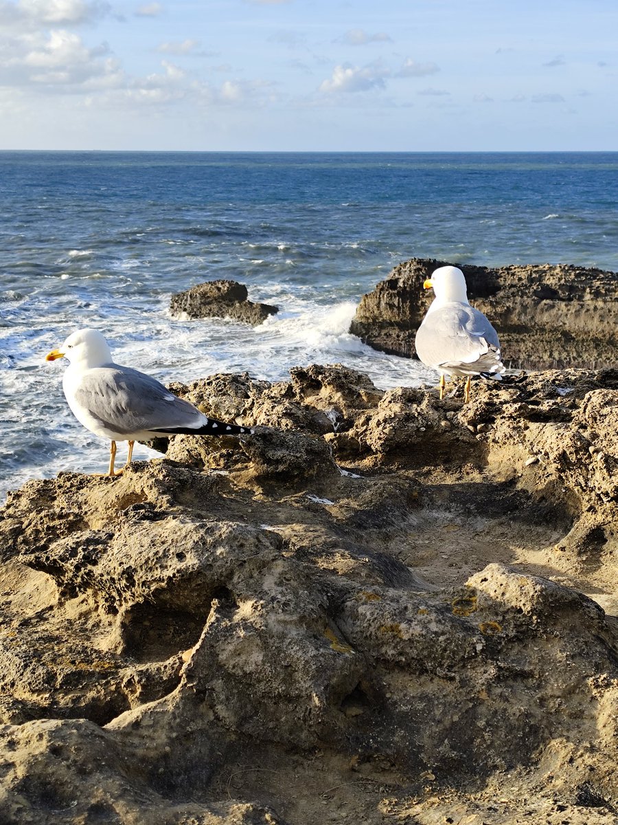 lan lan hue tweet media