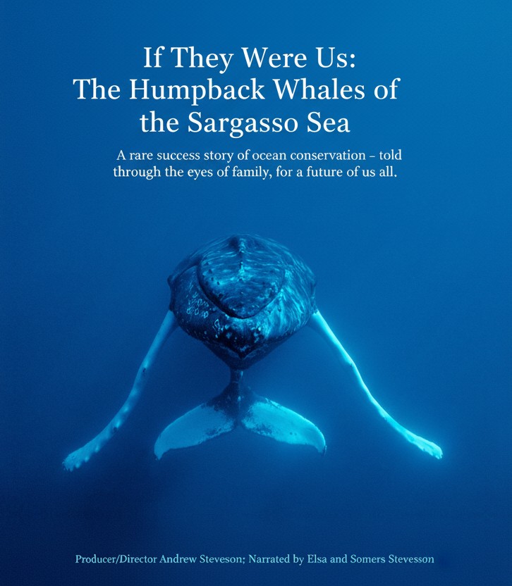 The Atlantic Conservation Partnership (ACP) tweet media