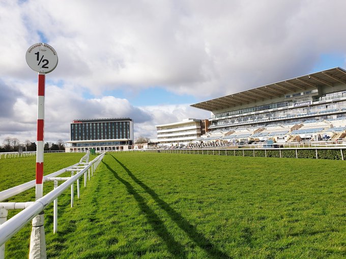 🐦Pigeon🐎Island🐦 tweet media