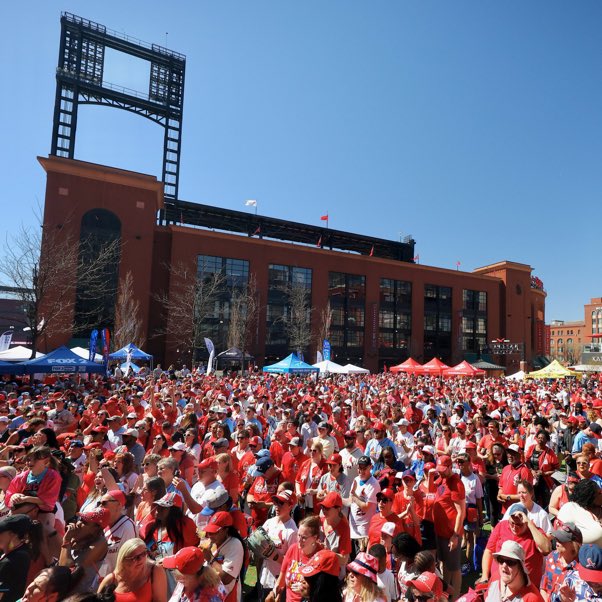 Cardinals Talk tweet media