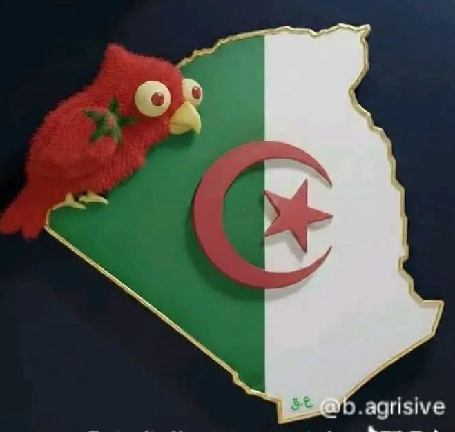 ĤãmŽæ tweet media