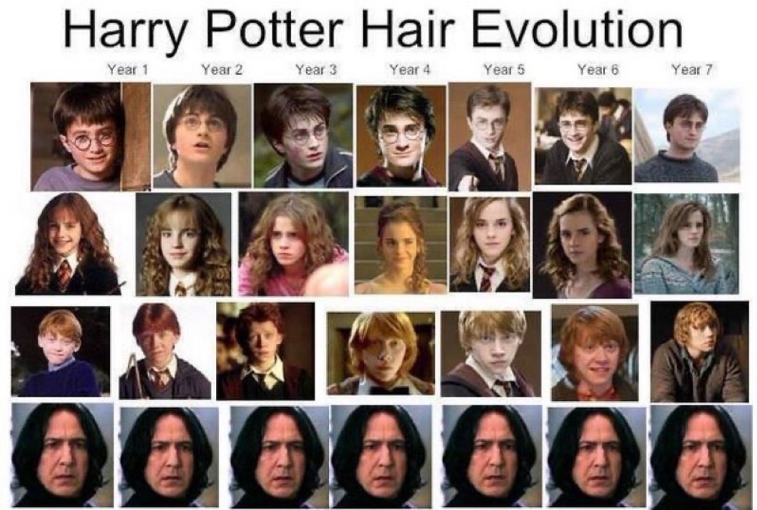 Daily Harry Potter tweet media