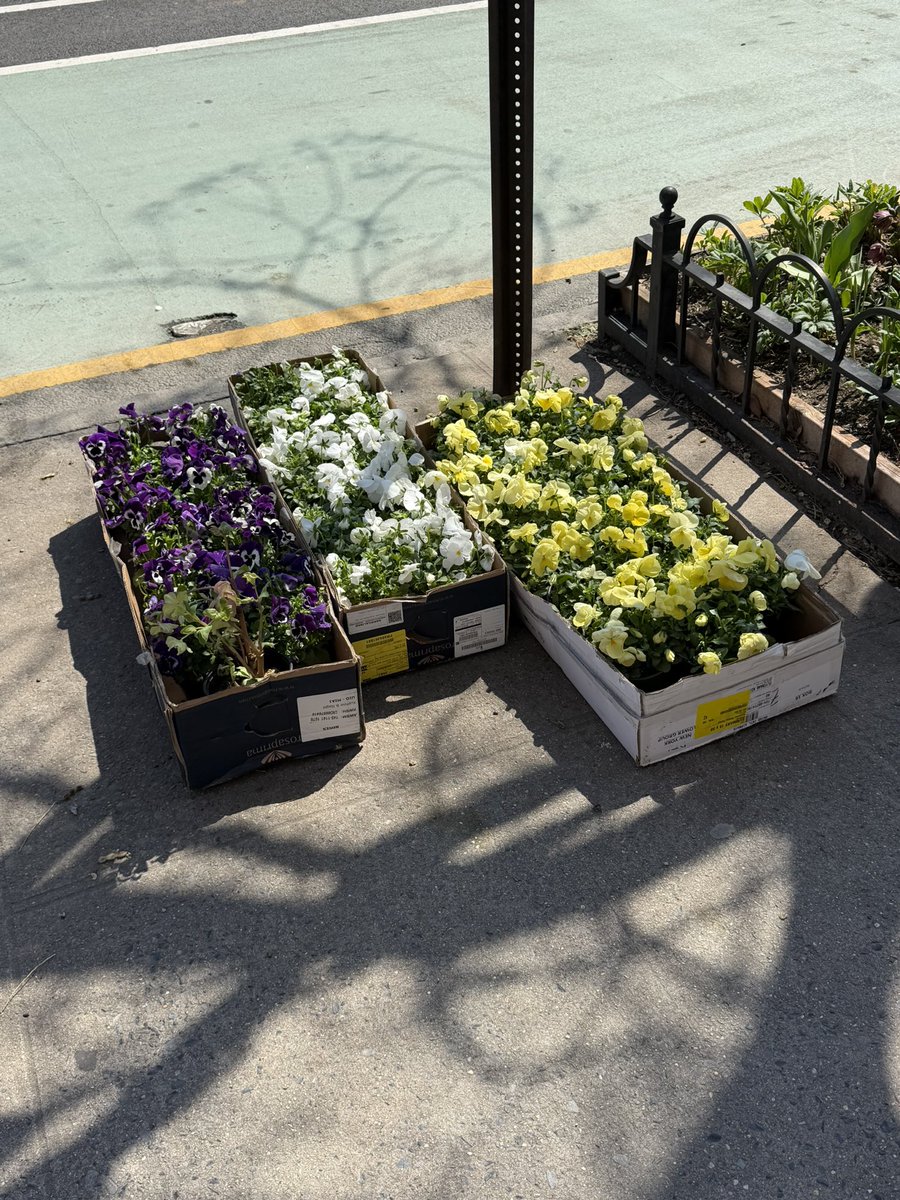 shut your mouth tweet media