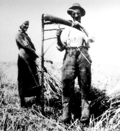 Felix Bohr tweet media