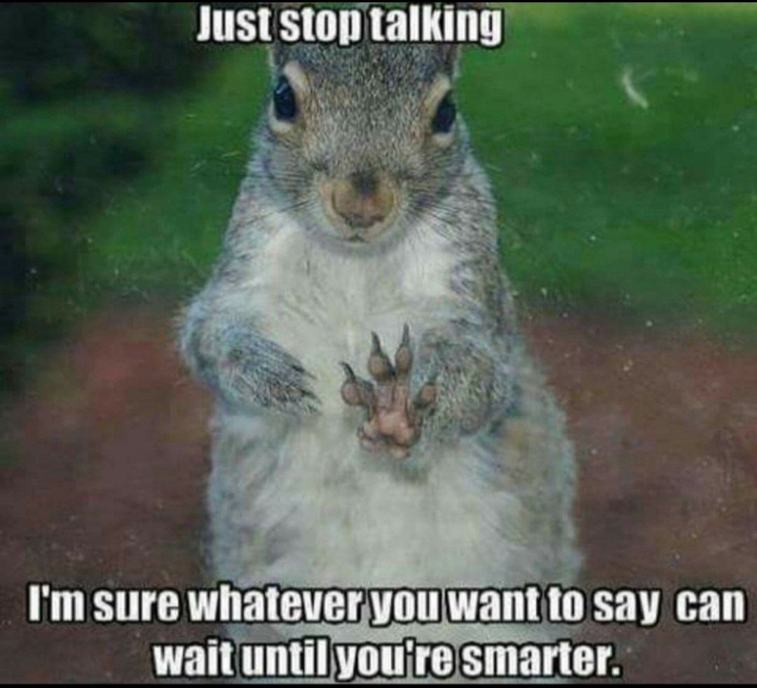 Russ Knight tweet media