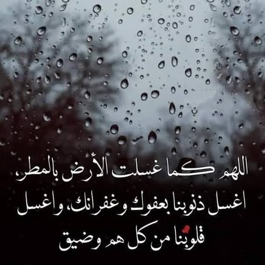 ✒ محمد المالكي (حساب شخصي) tweet media