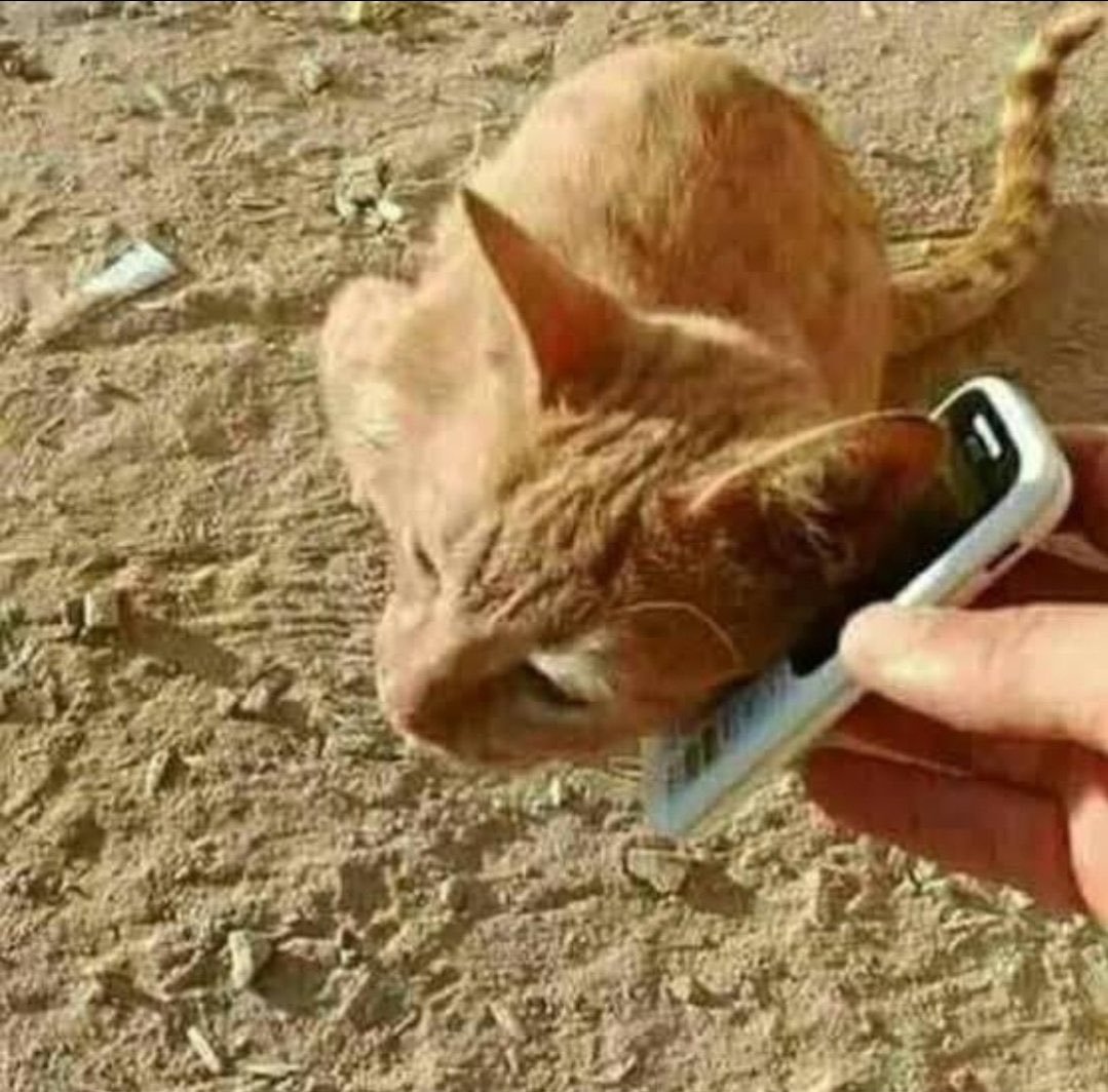 مــونــف | SBR tweet media