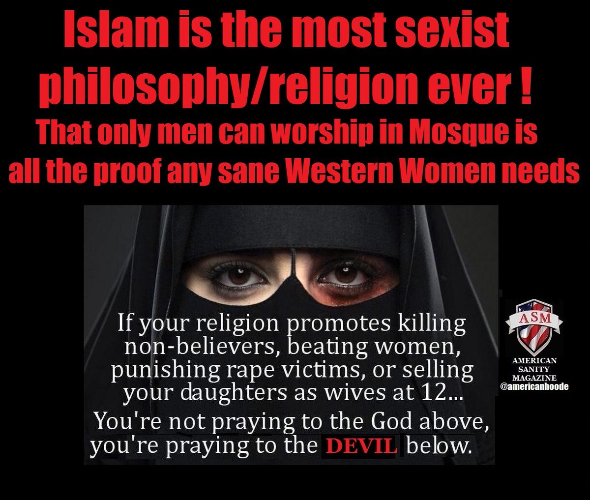 AmericanSanityMagazine tweet media