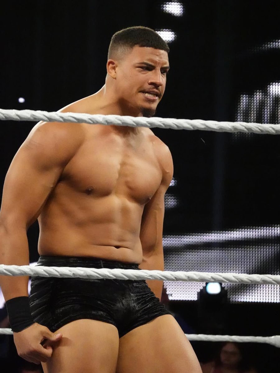 Daily Dion tweet media