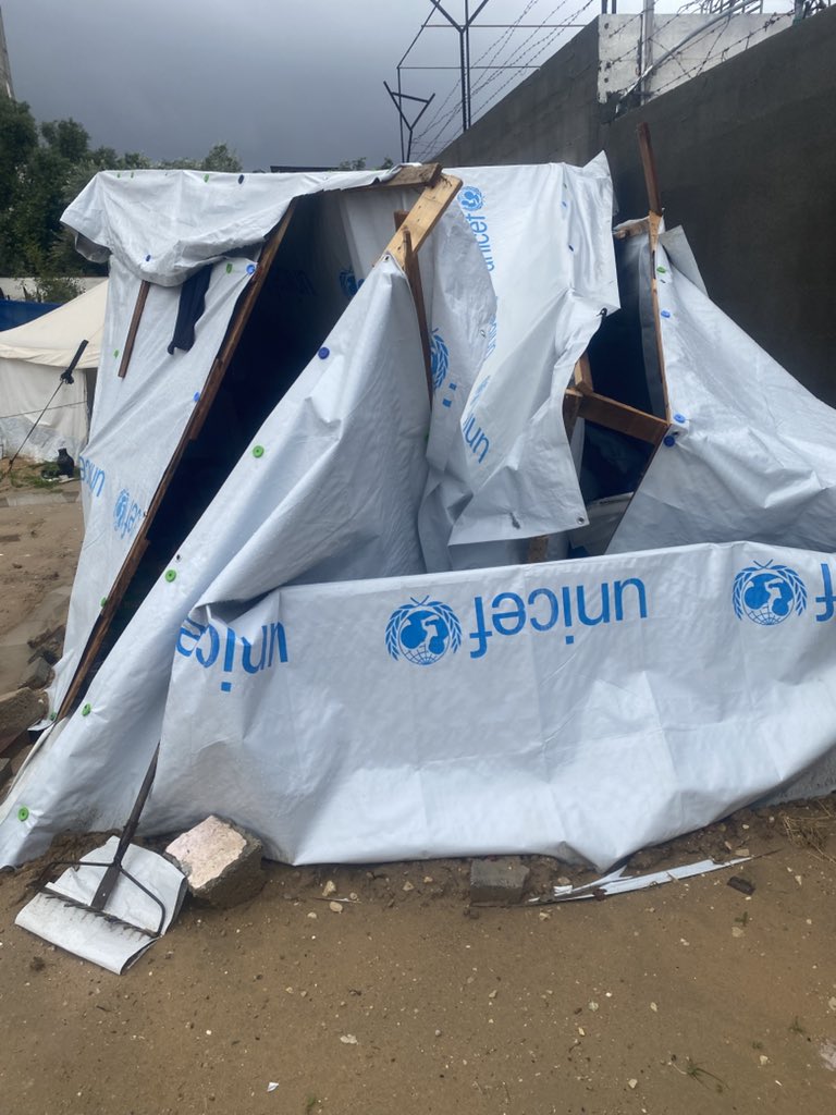 taluli family tweet media