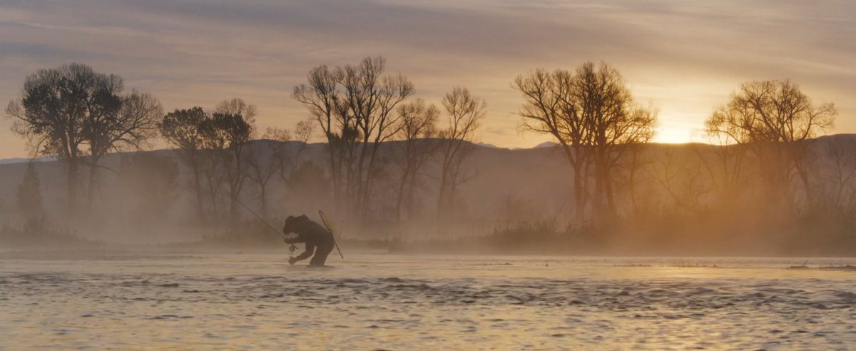 محمد tweet media