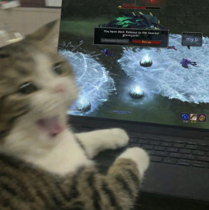 tea (🍯) tweet media