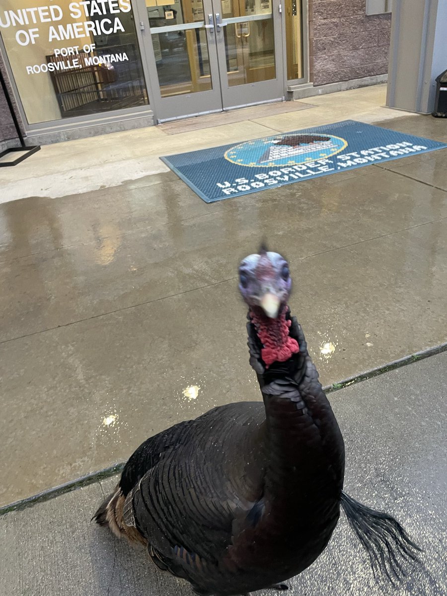 Sarah Metke tweet media