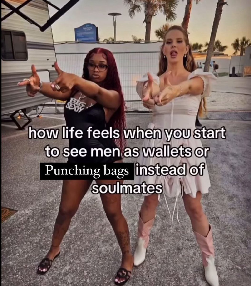 amber 🦇 tweet media