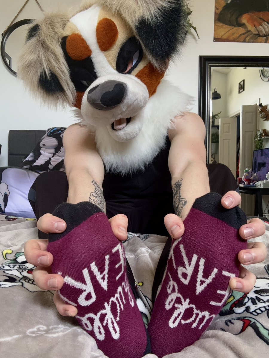 Koda’s EVIL Account 🔞 tweet media