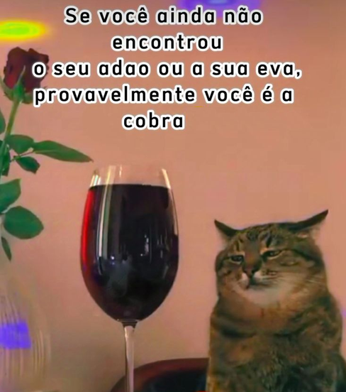 bender 🤘 tweet media